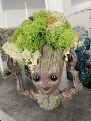 „Groot” – asztali dísz izlandi zuzmóval