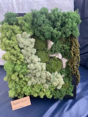 Rejtett tisztás – természetes zuzmó falikép