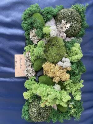 „Nyugalom” – zuzmókompozíció fa tálcán