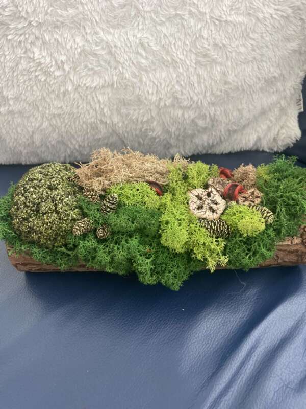 Zuzmókompozíció natúr favályúban - termésekkel - Image 2