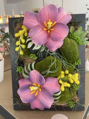 Képkeretes rózsaszínű orchidea