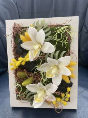 Képkeretes fehér orchidea